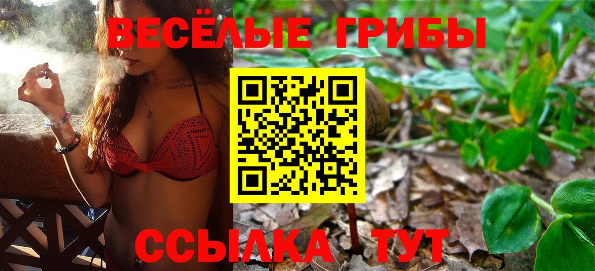 Галлюциногенные грибы мицелий Кириши