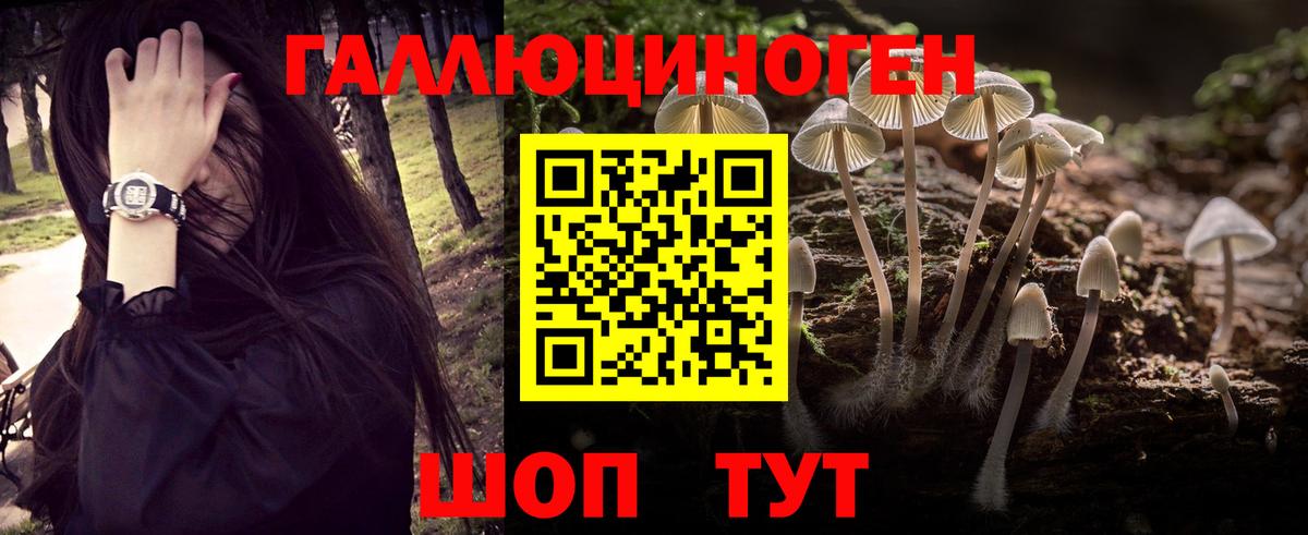 купить   Псилоцибиновые грибы прущие грибы  Вход с VPN  Кириши 